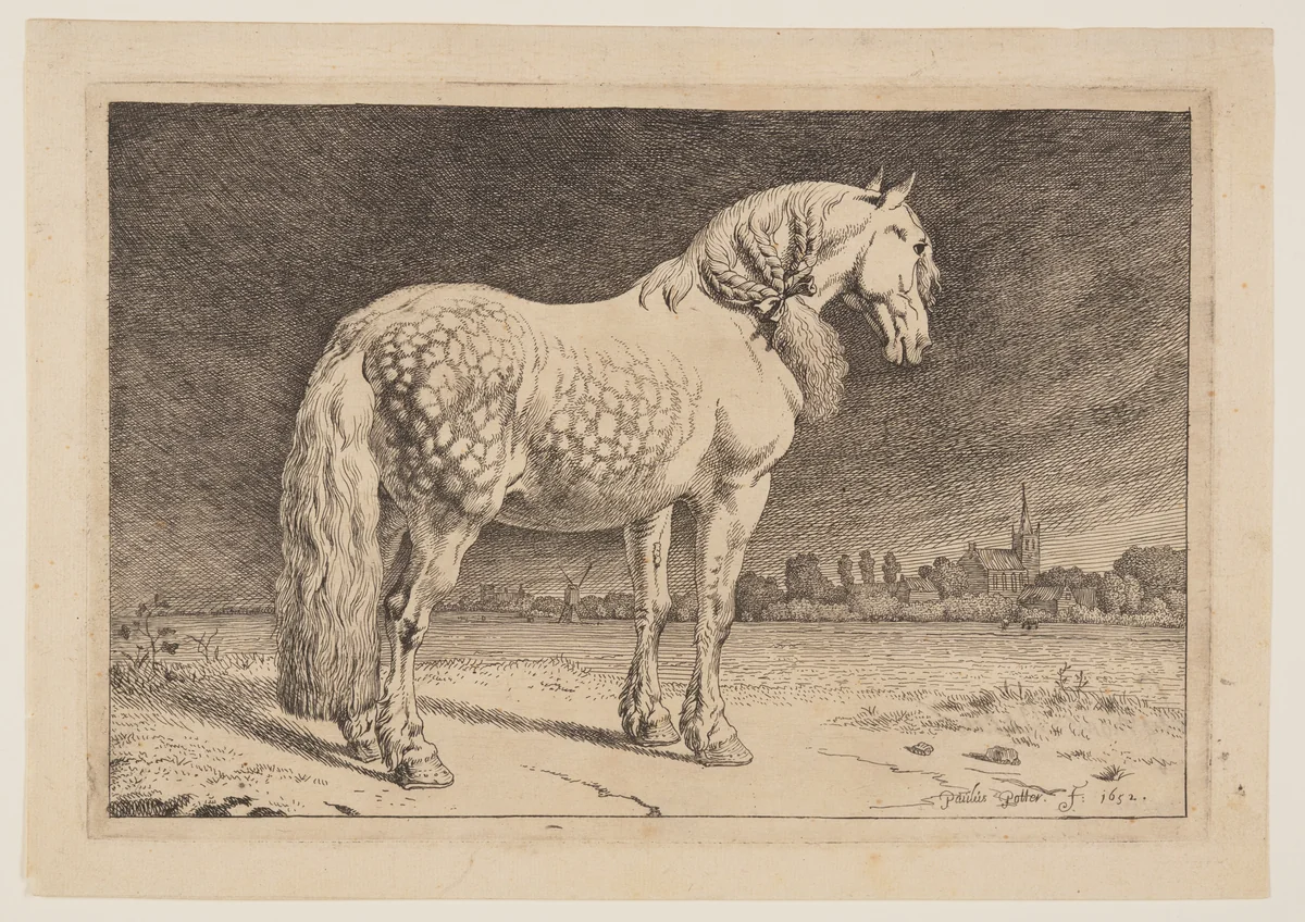 The Frisian Horse, from Series of Horses by Paulus Potter, print, 1652
