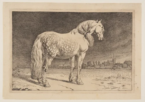 The Frisian Horse, from Series of Horses by Paulus Potter, print, 1652