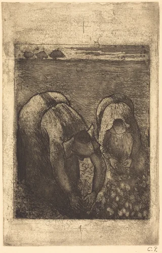 Peasants in a Field of Beans (Paysannes dans un champ de haricots) by Camille Pissarro, print, 1891