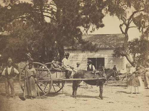 James Hopkinson's Plantation, Edisto Island, South Carolina by Henry P. Moore, photograph, 1862