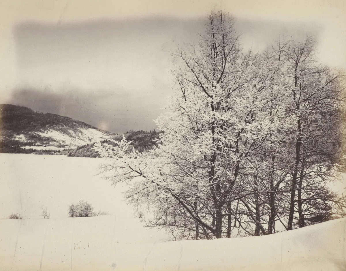 Lake Beauport, Hoarfrost by Alexander Henderson, photograph, 1865