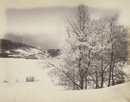 Lake Beauport, Hoarfrost by Alexander Henderson, photograph, 1865