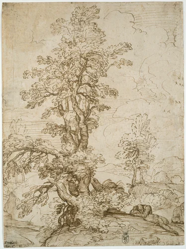 Landscape with Man Sleeping beneath Tree (recto); Landscape with a Horseman (verso) by Annibale Carracci, drawing, 1595