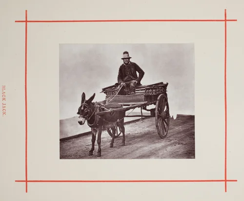 Black Jack by John Thomson, photograph, 1877