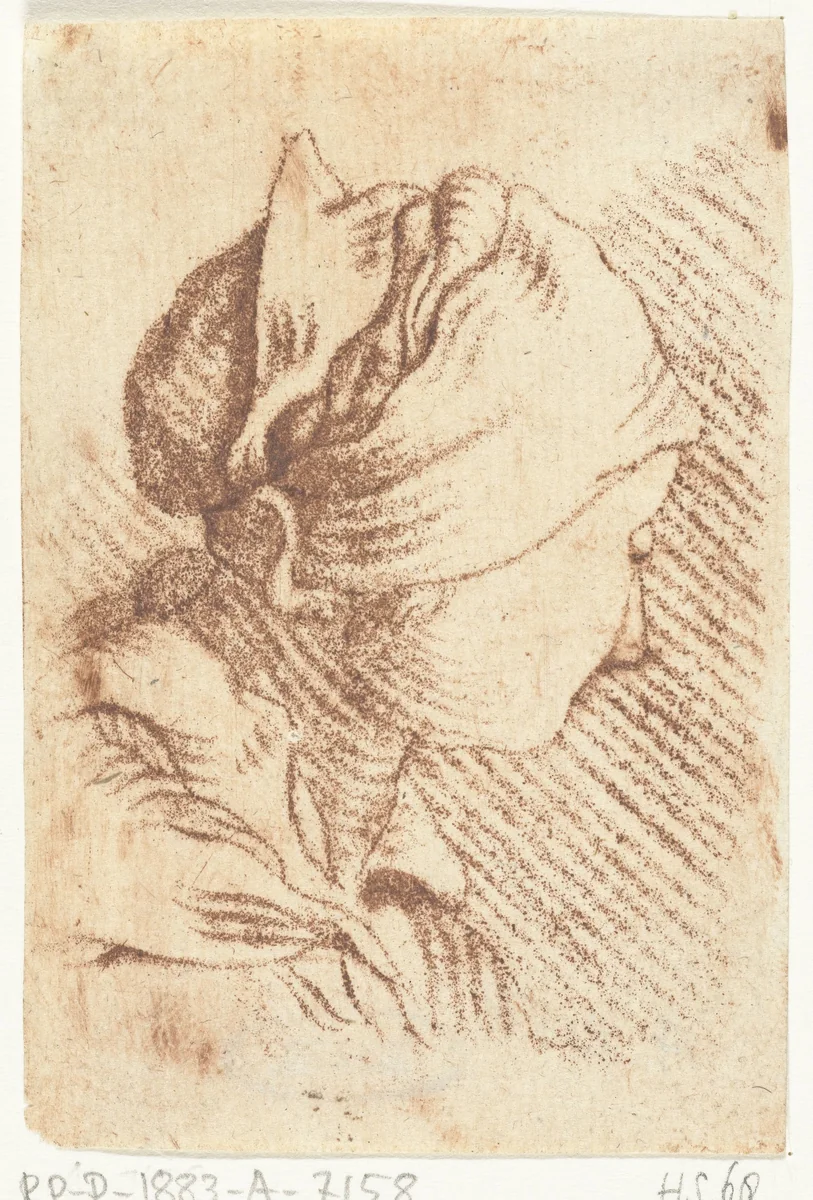 Studieblad met een vrouwenhoofd met hoofddoek by Louis Bernard Coclers, print, 1756-1817