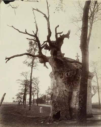 Route, Amiens by Eugène Atget, photograph, 1900