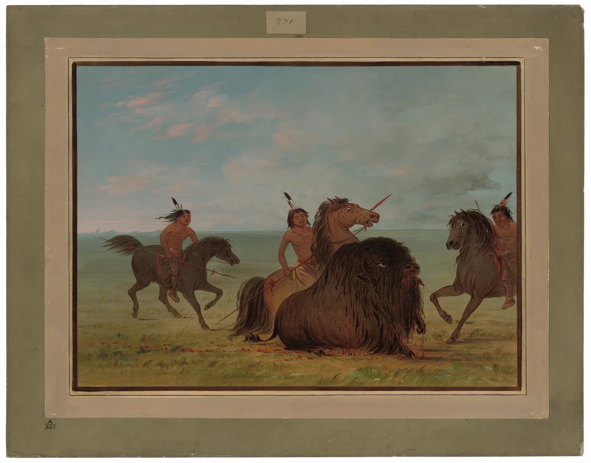 Camanchees Lancing a Buffalo Bull by George Catlin, painting, 1861-1869