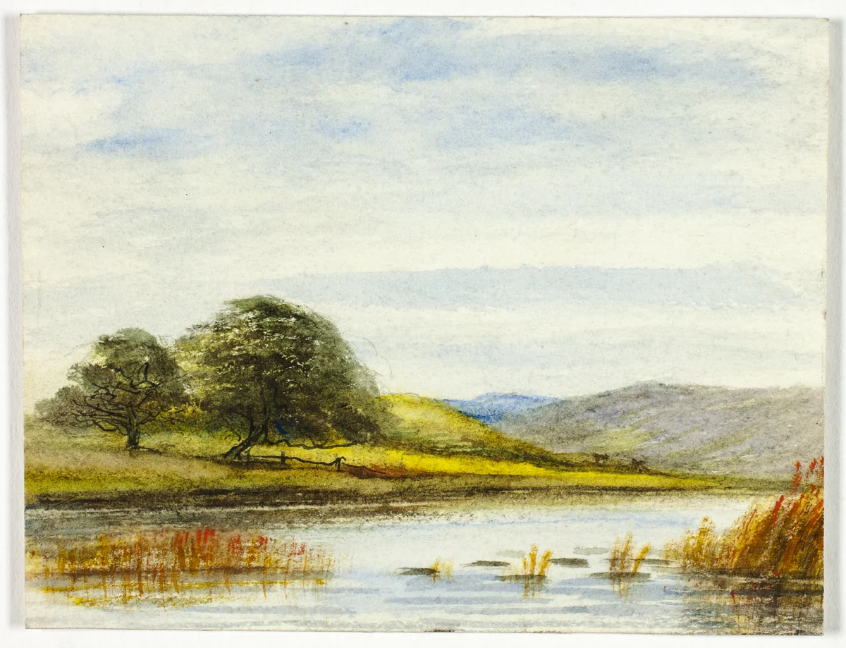 Marshy Landscape by Unknown Artist, painting, 1800-1899