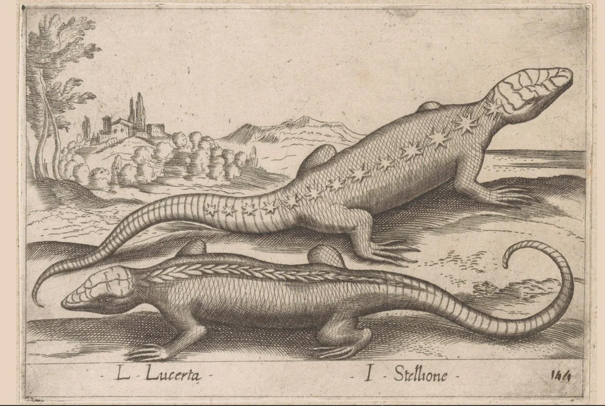 Twee hagedissen by Antonio Tempesta, print, 1565-1630