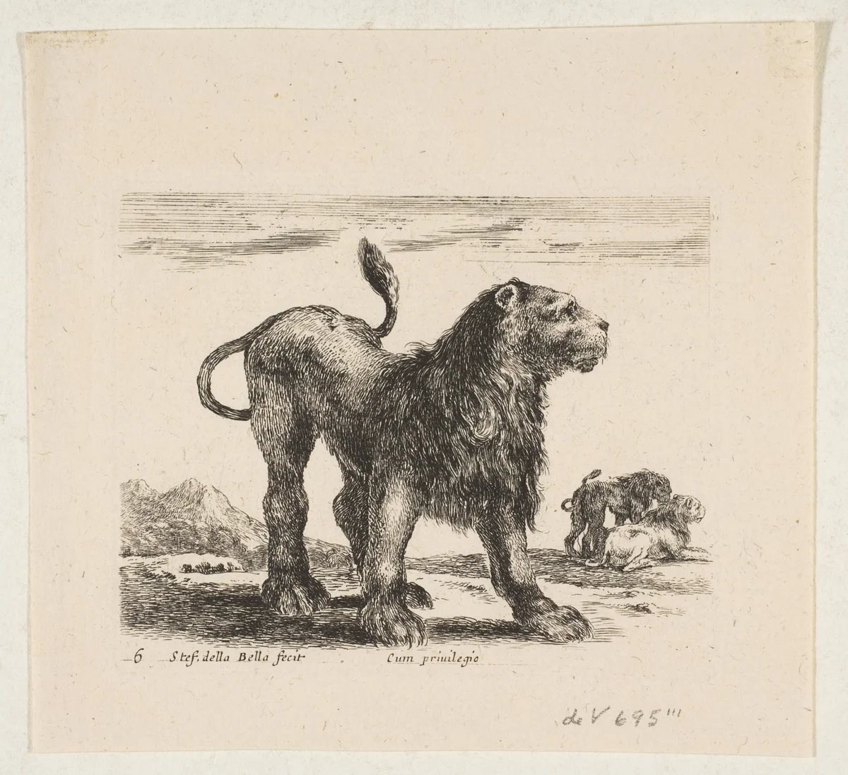 Plate 6: Lion, from "Various animals" (Diversi animali) by Stefano della Bella, print, 1636-1646