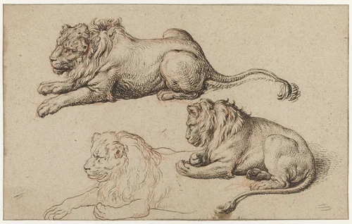Drie studies van een liggende leeuw by Jacques de Gheyn, drawing, 1615-1634