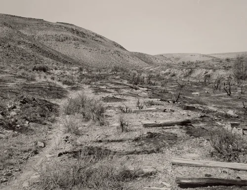 Nevada Central by Mark Ruwedel, photograph, 1999