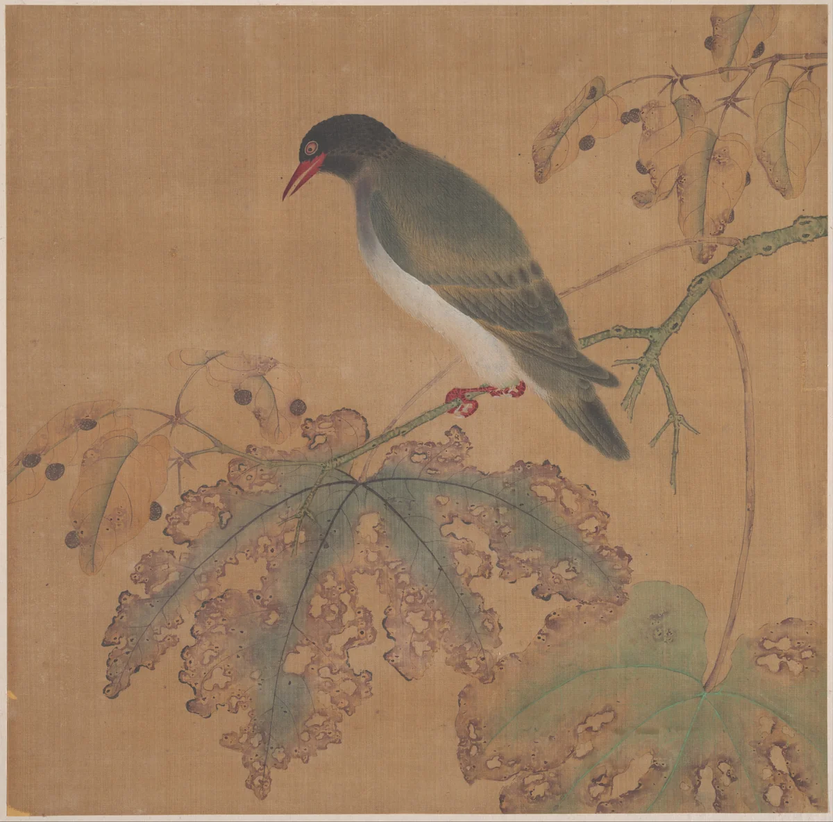 Bird on Branch by Unidentified Artist, painting, 1644-1911