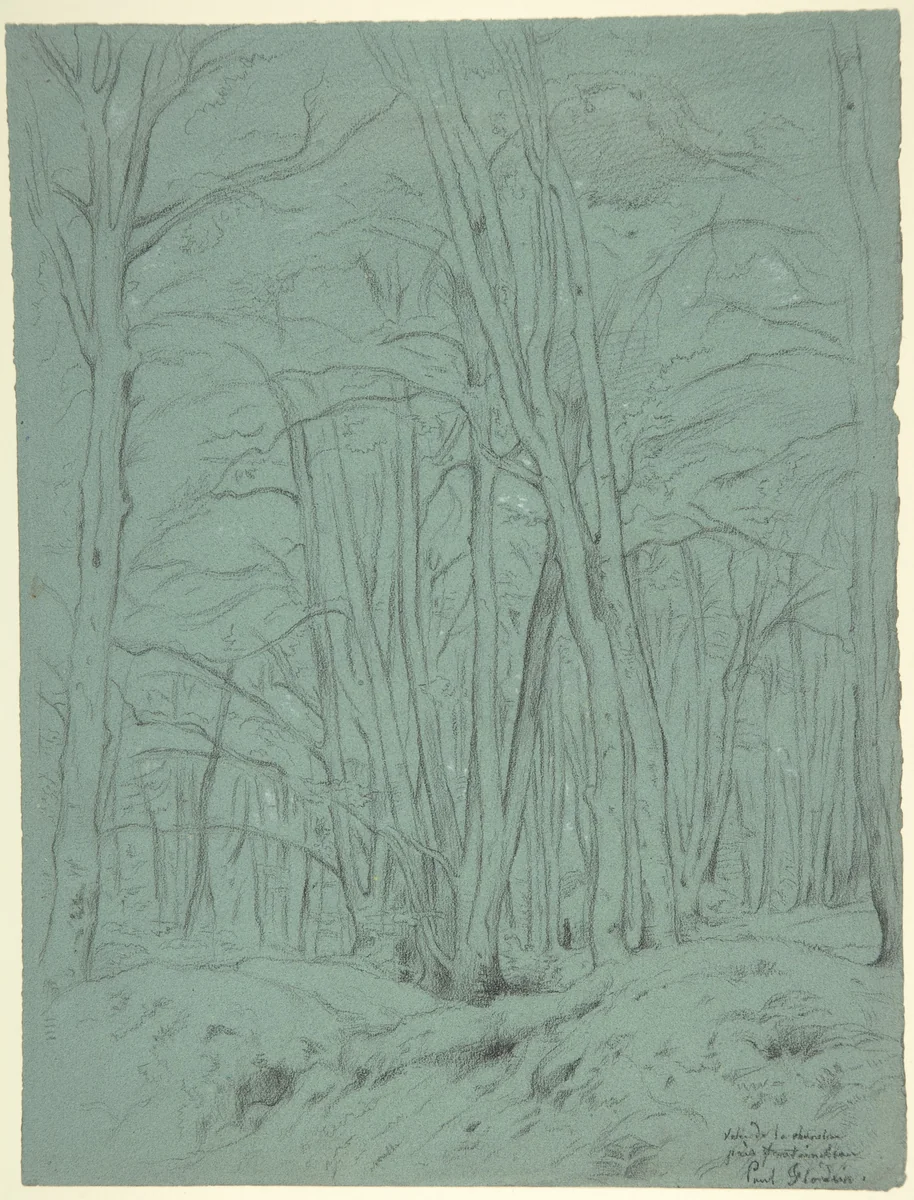 Forest View Near Fontainebleau by Paul Flandrin, drawing, 1825-1902
