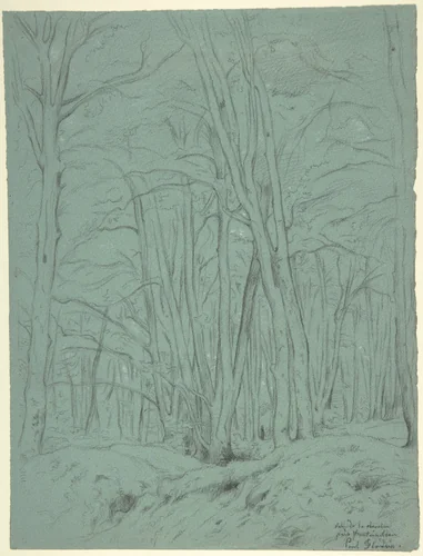 Forest View Near Fontainebleau by Paul Flandrin, drawing, 1825-1902