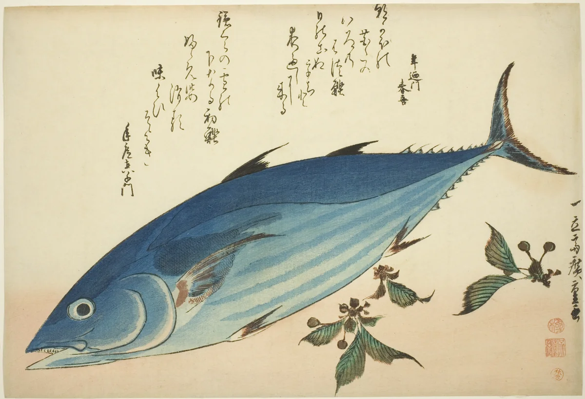 Bonito and saxifrage, from an untitled series of fish by Utagawa Hiroshige (歌川広重), print, 1827-1838