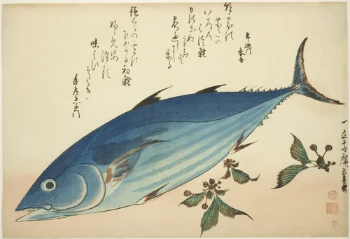 Bonito and saxifrage, from an untitled series of fish by Utagawa Hiroshige (歌川広重), print, 1827-1838