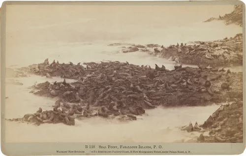 Seal Point, Farallon Islands, Pacific Ocean by Carleton E. Watkins, photograph, 1879-1880