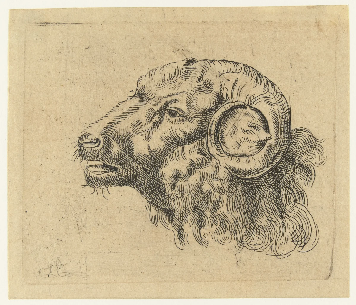 Kop van een ram by Monogrammist IFG, print, 1632-1733