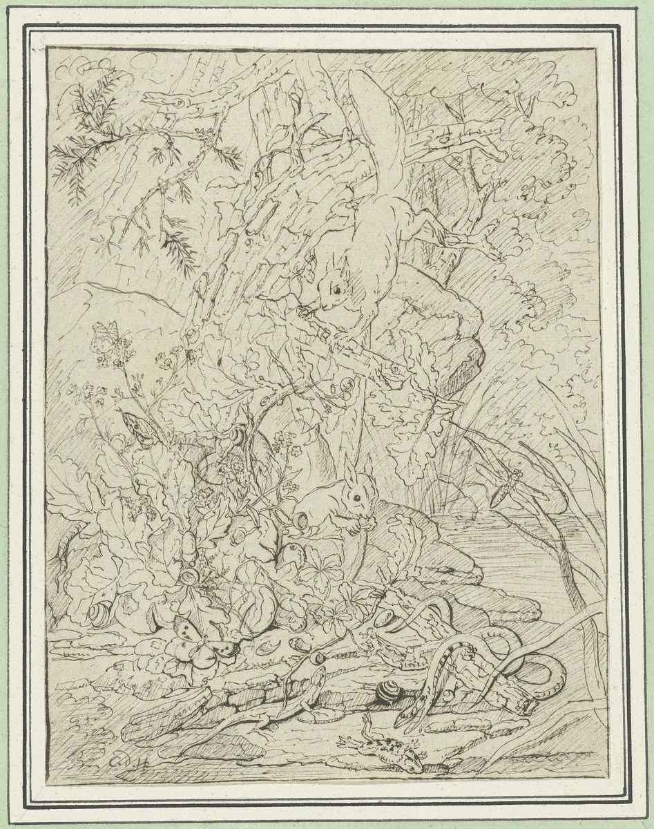 Eekhoorns, slangen en amfibieën in het struikgewas by Carl Wilhelm de Hamilton, drawing, 1678-1754