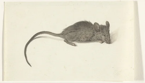 Muis, naar rechts by Jean Bernard, drawing, 1775-1833