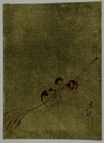 Mushrooms by Shibata Zeshin (柴田是真), other, 1807-1891