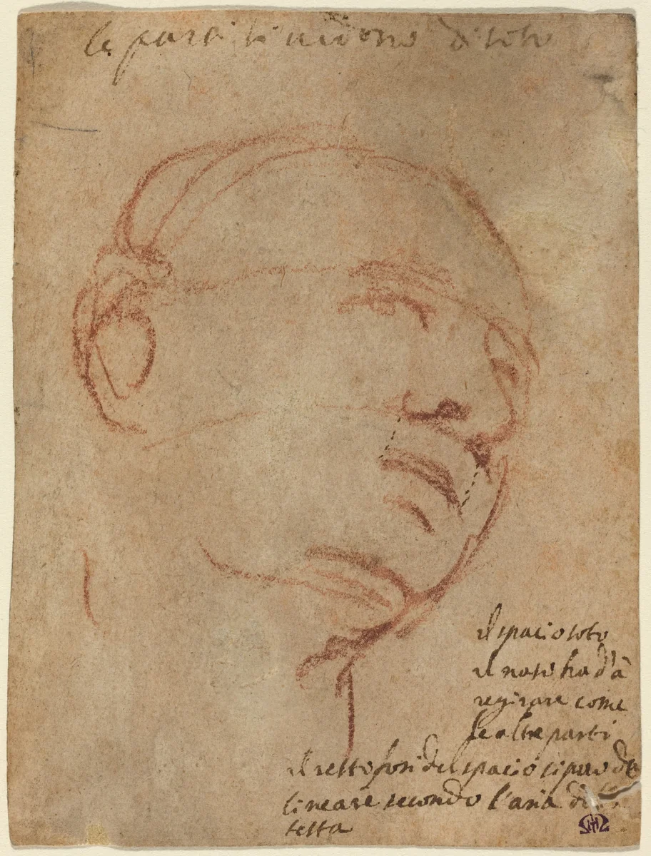Head of a Man by Michelangelo, drawing, 1530