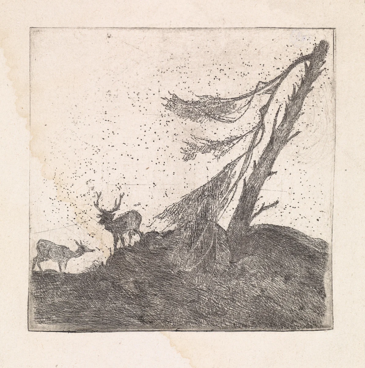 Twee herten bij een dennenboom by Dirk Arnoldus Tavenraat, print, 1855-1930