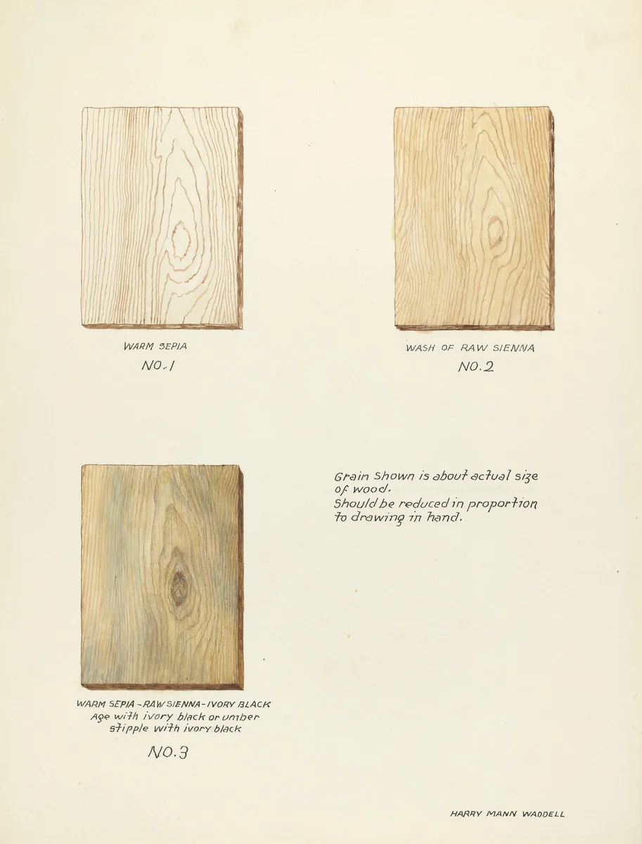 Technique Demo (Wood Grain) by Harry Mann Waddell, index of american design, 1935-1942