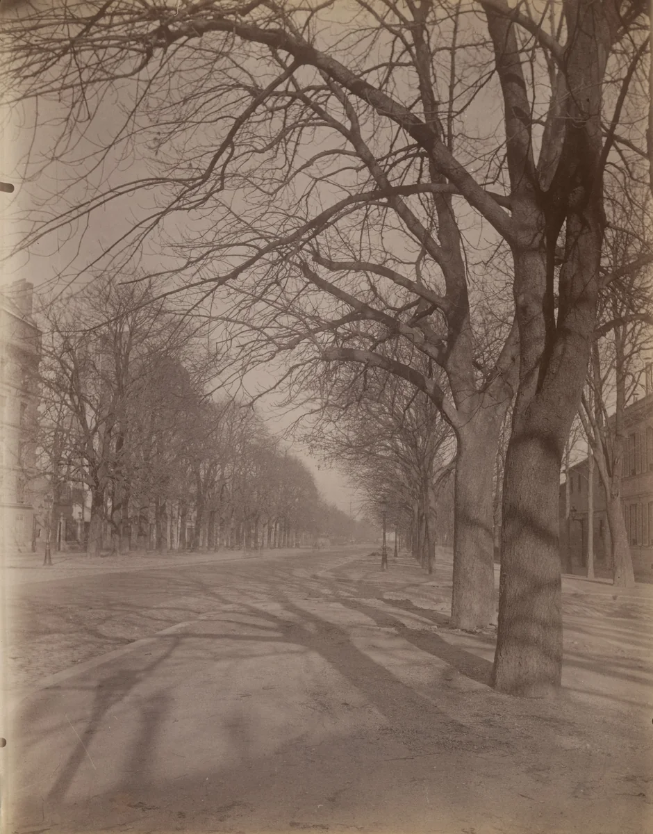 Avenue de l'Observatoire by Eugène Atget, photograph, 1899