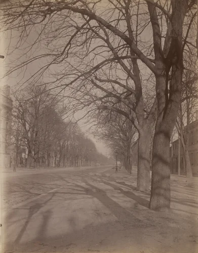 Avenue de l'Observatoire by Eugène Atget, photograph, 1899