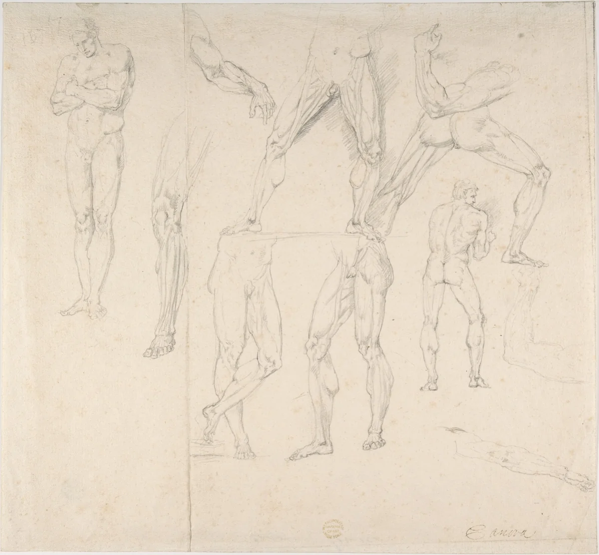 Nude Study by anonymous, drawing, 1800-1830