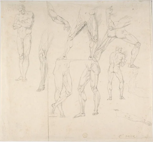 Nude Study by anonymous, drawing, 1800-1830