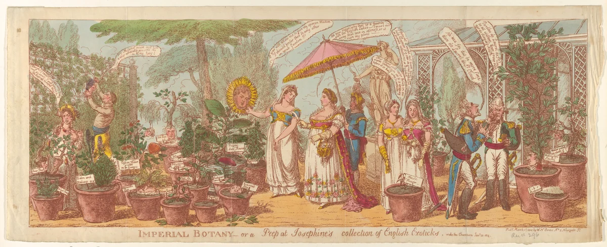 Imperial Botany–or a Peep at Josephine's Collection of Engilsh Exoticks, vide the Champion Jany 30, 1814 by Charles Williams, print, 1814