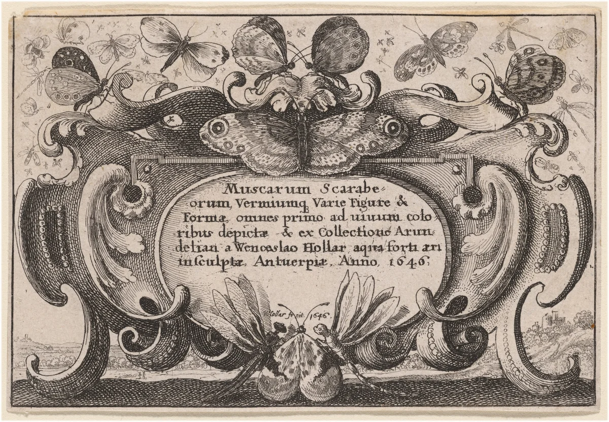Title Page by Wenceslaus Hollar, print, 1646