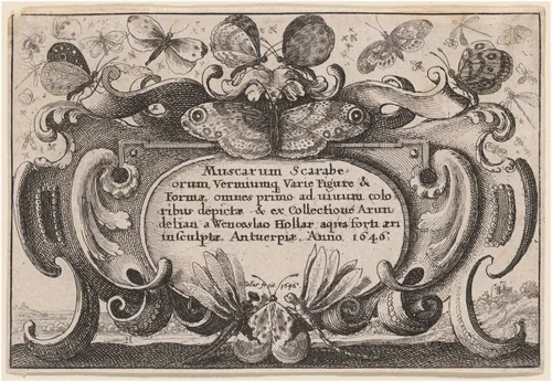 Title Page by Wenceslaus Hollar, print, 1646