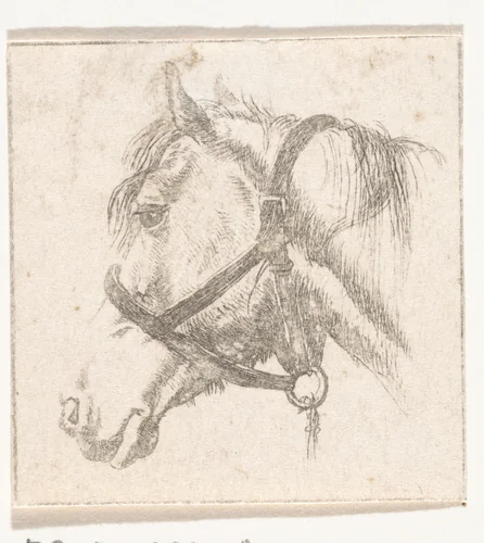 Paardenhoofd met hoofdstel by Abraham Hendrik Winter, print, 1819