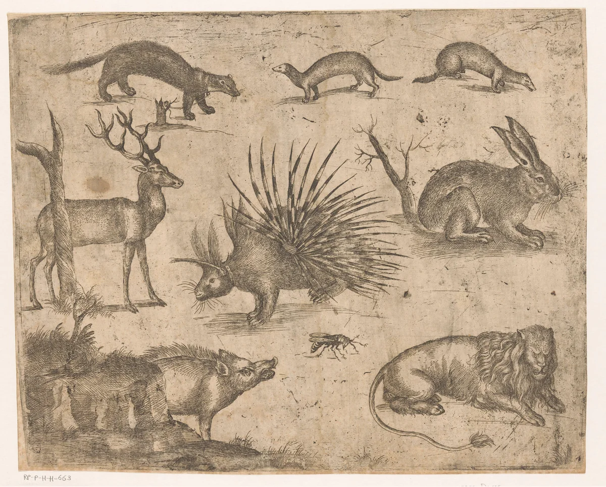Studieblad met verschillende dieren by Unknown, print, 1565-1630
