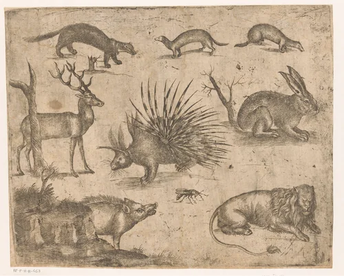 Studieblad met verschillende dieren by Unknown, print, 1565-1630