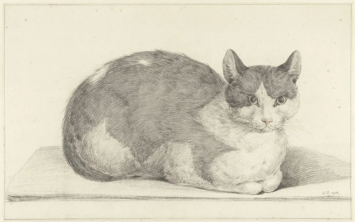 Zittende kat, naar rechts by Jean Bernard, drawing, 1798