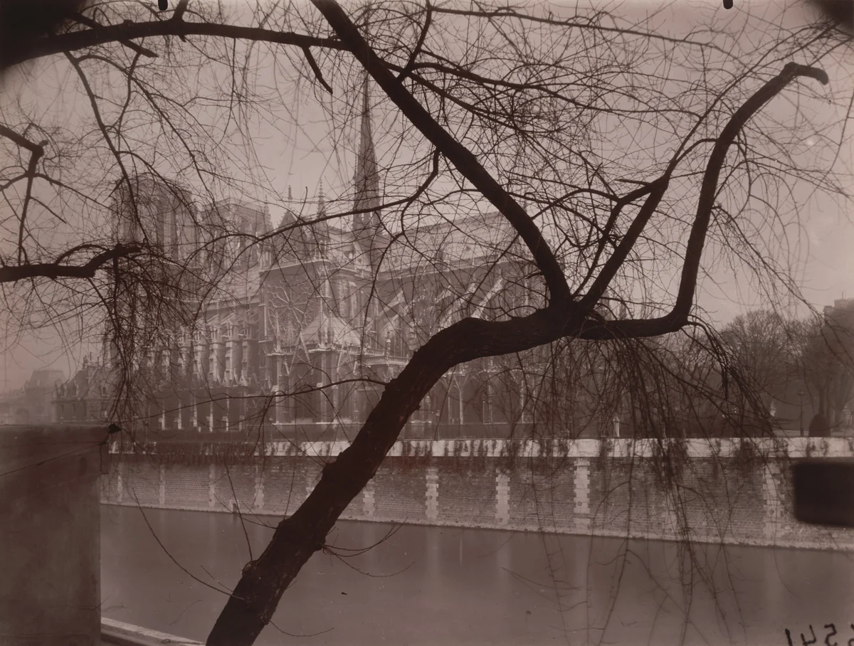 Notre-Dame by Eugène Atget, photograph, 1925