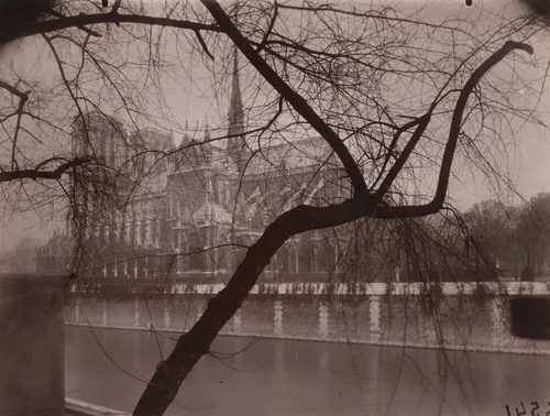 Notre-Dame by Eugène Atget, photograph, 1925