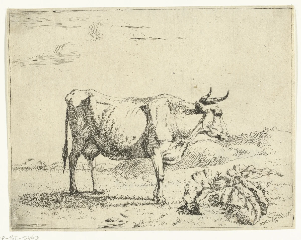 Staande koe, en profil by Marcus de Bye, print, 1657-1677