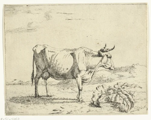 Staande koe, en profil by Marcus de Bye, print, 1657-1677