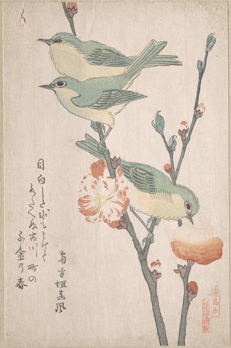 Japanese White-eyes on a Branch of Peach Tree,” from the Series An Array of Birds (Tori awase), from Spring Rain Surimono Album (Harusame surimono-jō, vol. 3) by Kubo Shunman (窪俊満), print, 1800-1820