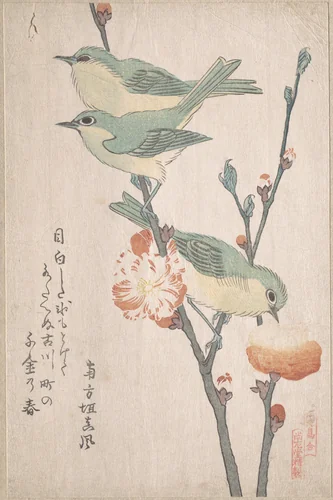 Japanese White-eyes on a Branch of Peach Tree,” from the Series An Array of Birds (Tori awase), from Spring Rain Surimono Album (Harusame surimono-jō, vol. 3) by Kubo Shunman (窪俊満), print, 1800-1820