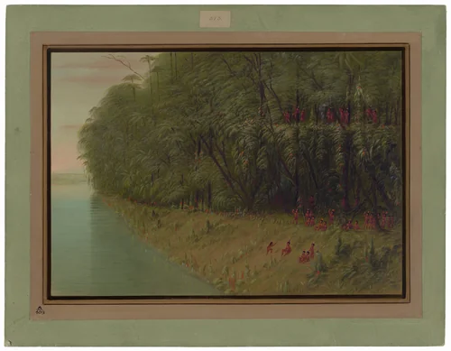 An Amazon Forest - Looking Ashore by George Catlin, painting, 1854-1869