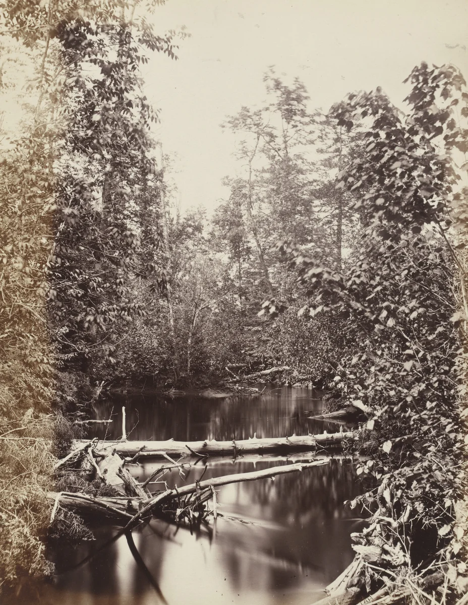 Photographic Views and Studies of Canadian Scenery by Alexander Henderson, photograph, 1865