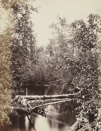 Photographic Views and Studies of Canadian Scenery by Alexander Henderson, photograph, 1865
