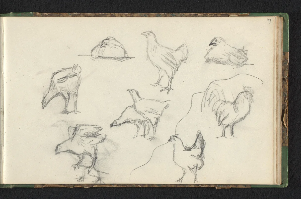 Acht kippen en een haan by Jan Bedijs Tom, drawing, 1823-1894